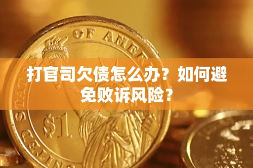 北京打官司欠债怎么办？如何避免败诉风险？
