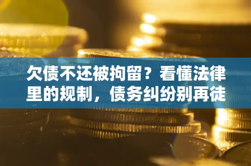 北京欠债不还被拘留？看懂法律里的规制，债务纠纷别再徒劳奔波