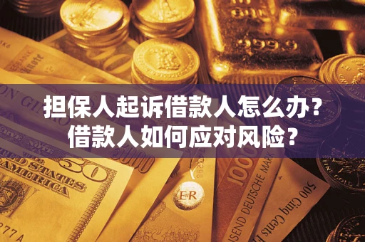 北京担保人起诉借款人怎么办？借款人如何应对风险？