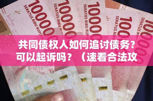 北京共同债权人如何追讨债务？可以起诉吗？（速看合法攻略）