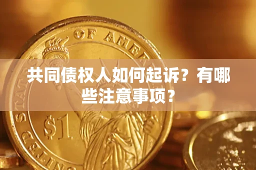 北京共同债权人如何起诉？有哪些注意事项？